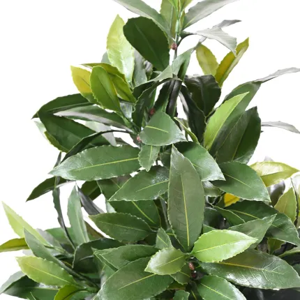 LAURIER SAUCE artificiel cone 130 ou 150 cm - détails feuilles