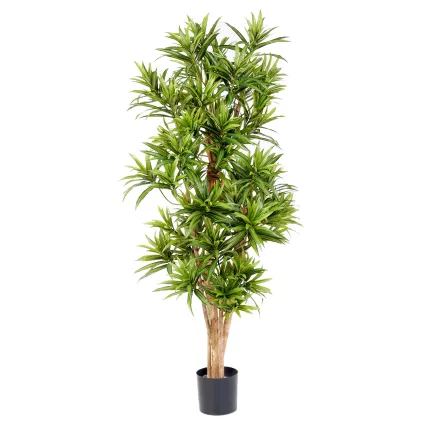 Dracena artificiel (ou DRACAENA) Reflexa new 150 ou 180 cm ANTI FEU vert