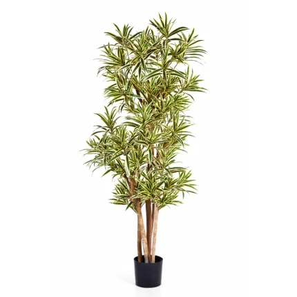 Dracena artificiel (ou DRACAENA) Reflexa new 150 ou 180 cm ANTI FEU vert crème