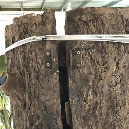 Habillage de poteau FICUS artificiel Géant 360 cm diam 370 cm - tronc haut