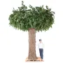 Habillage de poteau FICUS artificiel Géant 360 cm diam 370 cm - par rapport femme