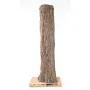 Habillage de poteau FICUS artificiel Géant 360 cm diam 370 cm - tronc fermé