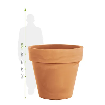 classico prima 60 à 120 cm