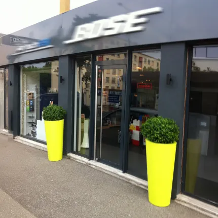 mise en situation BUIS artificiel BOULE NEW de diamètre 50 cm devant un commerce