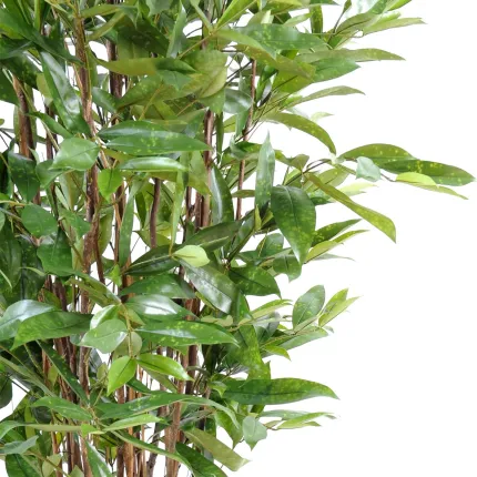 DRACENA artificiel (ou DRACAENA) SURCULOSA arbre 90 à 270 cm - coté