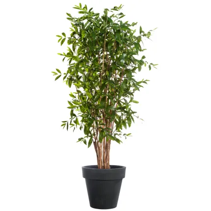 DRACENA artificiel (ou DRACAENA) SURCULOSA arbre 210 à 270 cm en pot