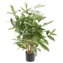DRACENA artificiel (ou DRACAENA) SURCULOSA 60 cm