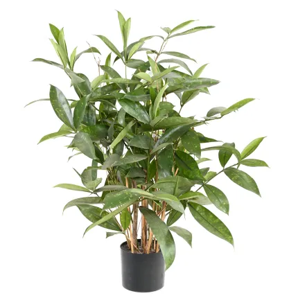 DRACENA artificiel (ou DRACAENA) SURCULOSA 60 cm