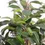 FICUS artificiel NATASJA 60 cm - détail feuille