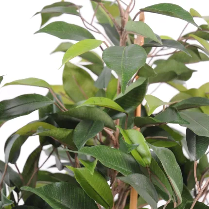 FICUS artificiel NATASJA 60 cm - détail feuille