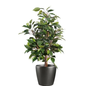 FICUS artificiel NATASJA 60 cm en pot
