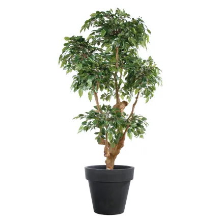 FICUS artificiel NATASJA 5 têtes 170 cm en pot de présentation