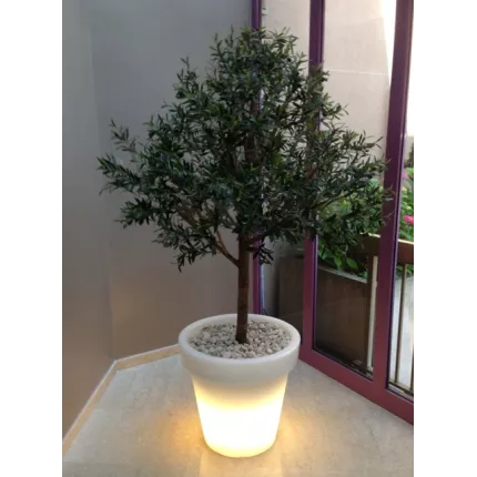 OLIVIER artificiel NEW TETE large (olives noires) 150 à 220 cm dans hall pot allumé