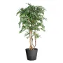 FICUS artificiel multitree NATASJA  - 110 à 210 cm