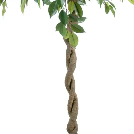 FICUS artificiel boule NATASJA 140 diam.60 cm - tronc