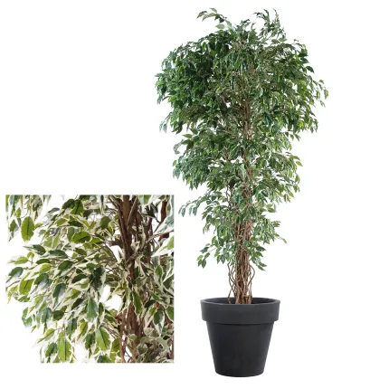 FICUS artificiel LIANES Petites Feuilles 150 à 210 cm - 2 couleurs