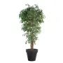 FICUS artificiel LIANES Petites Feuilles  vert 150 à 210 cm