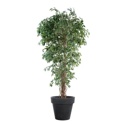 FICUS artificiel LIANES Petites Feuilles  vert 150 à 210 cm