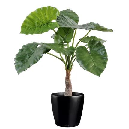 ALOCASIA CALIDORA  artificiel  80 cm - en pot
