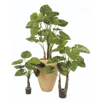 ALOCASIA CALIDORA  artificiel  80 à 120 cm - 3 tailles