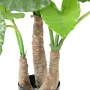 ALOCASIA CALIDORA  artificiel  120 cm - troncs