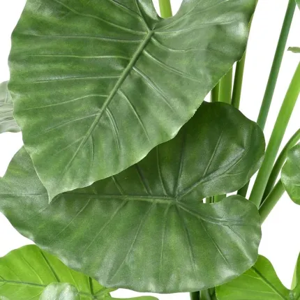 ALOCASIA CALIDORA  artificiel  - feuilles