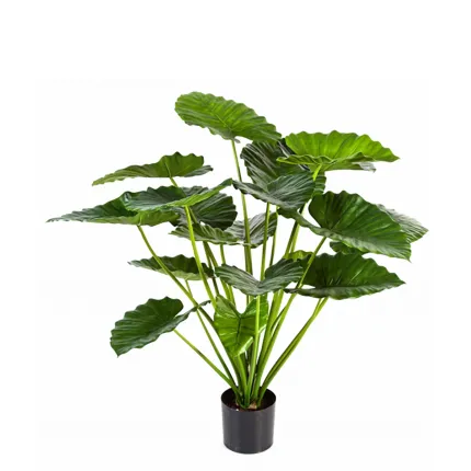Alocasia Calidora Bush artificiel 75 et 95 cm de dessus