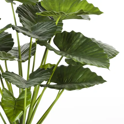Alocasia Calidora Bush artificiel 75 et 95 cm de dessus - tiges et feuilles