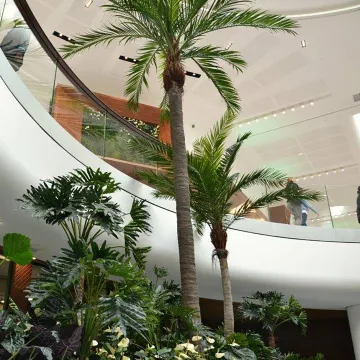 PALMIER artificiel COCO 400 et 700 cm en situation