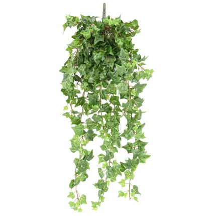 Lierre vert ignifugé