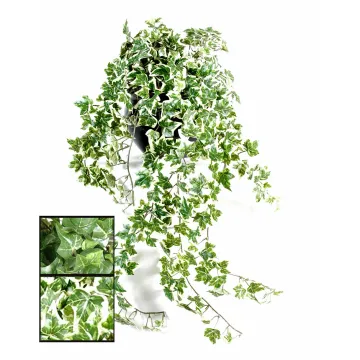 Lierre 60cm ignifugé