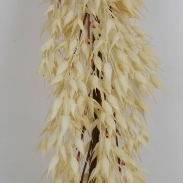 Guirlande d'AVOINE artificielle 150 cm - cosse