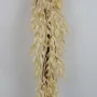 Guirlande d'AVOINE artificielle 150 cm - rapproché