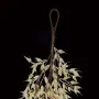 Guirlande d'AVOINE artificielle 150 cm - accroche