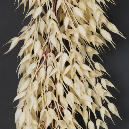 Guirlande d'AVOINE artificielle 150 cm - détail