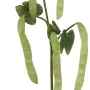 haricot plat artificiel de la branche artificielle de HARICOT plat 94 cm avec gousses