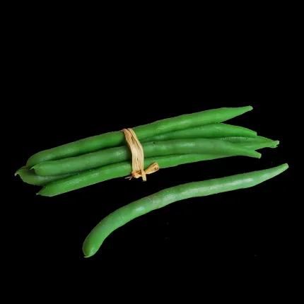 fagot de 6 HARICOTS artificiels 17 cm