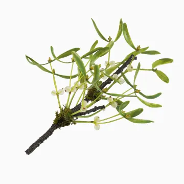 branche de GUI artificiel 29 cm