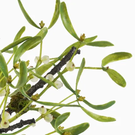 branche de GUI artificiel 29 cm - extremité