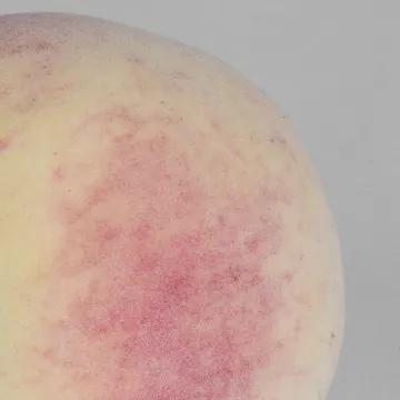 PECHE artificielle 7 cm - peau duveteuse