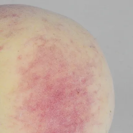 PECHE artificielle 7 cm - peau duveteuse