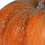 Citrouille artificielle 24 cm - détail
