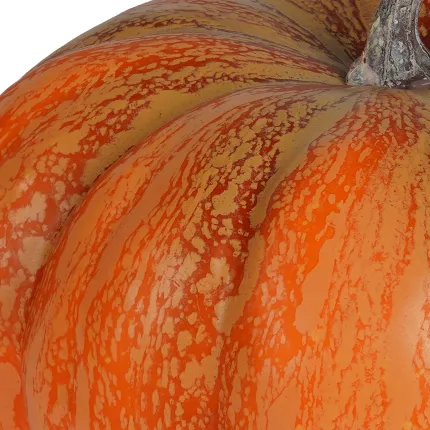 Citrouille artificielle 24 cm - détail