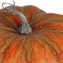 Citrouille artificielle 24 cm - queue