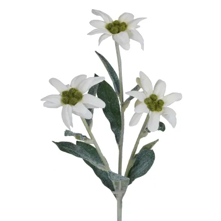 EDELWEISS artificiel 38 cm