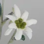 EDELWEISS artificiel 30 cm