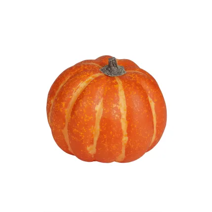 curcurbitacée artificielle orange