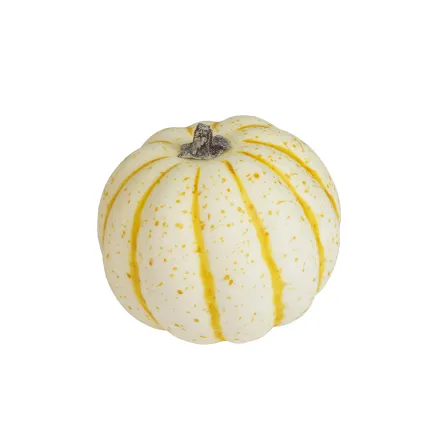 courge artificielle crème