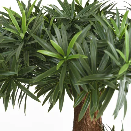 PODOCARPUS artificiel 135 cm - feuille plastique