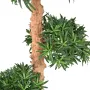 PODOCARPUS artificiel NUAGE  110 à 150 cm - tronc